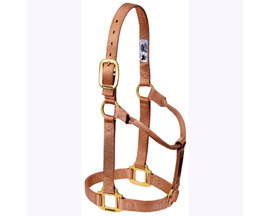 Weaver Leather&reg; Medium Original Non-Adjustable Nylon Halter - Dark Pink