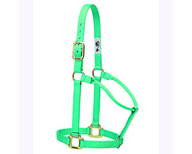 Weaver Leather&reg; Medium Original Non-Adjustable Nylon Halter - Mint Green