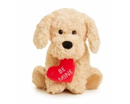 Warmies Microwaveable Plush - Golden Dog Be Mine