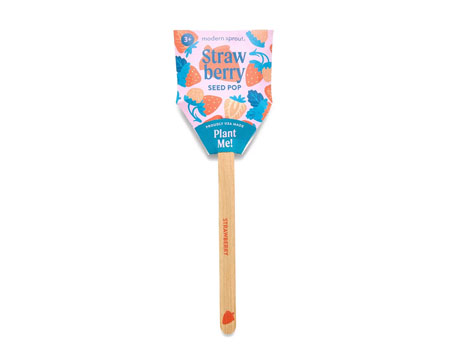 Modern Sprout&reg; Garden Seed Pops Assorted