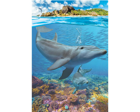 EuroGraphics Dolphins Puzzle