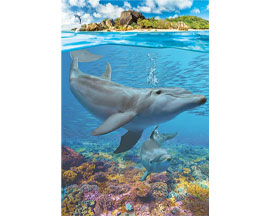 EuroGraphics Dolphins Puzzle