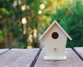 Bird Houses