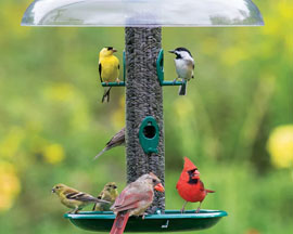 Bird Feeders