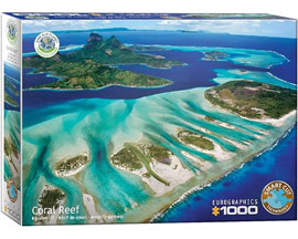 Coral Reef Puzzle