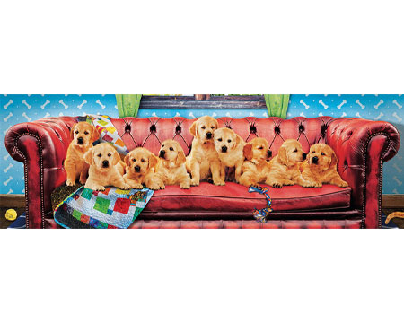 Lounging Labs Puzzle