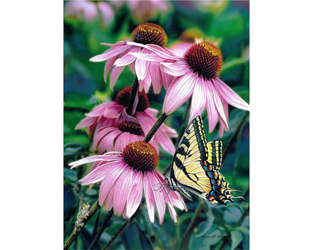 Dropping By Butterfly On Coneflowers Puzzle