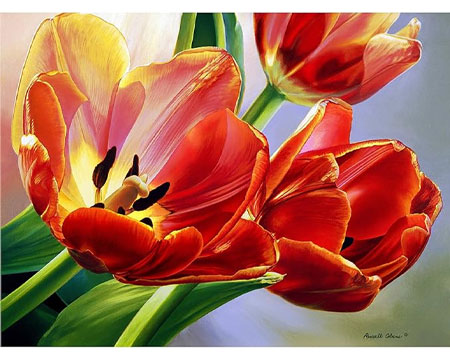 Tulips In Spring Puzzle