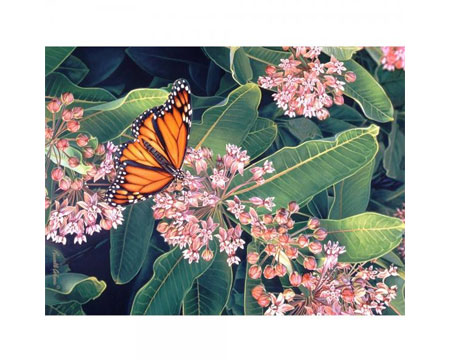 Monarch On Milkweed Puzzle