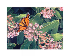 Monarch On Milkweed Puzzle