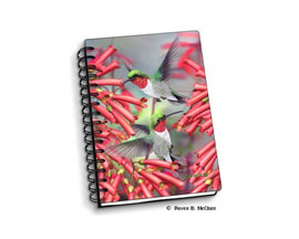 3D Hummingbirds Notebook 