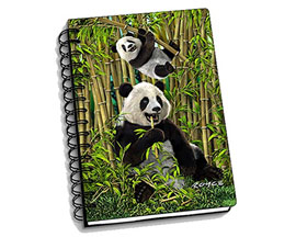 3D Pandas Notebook