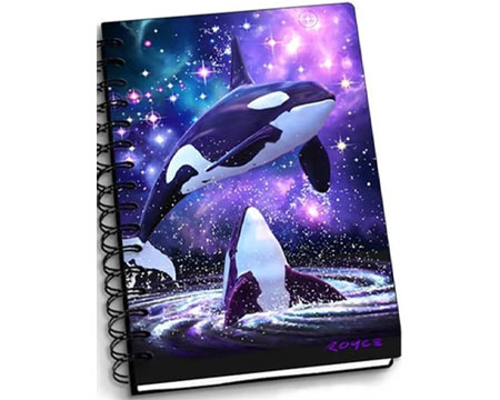 Space Orcas Notebook