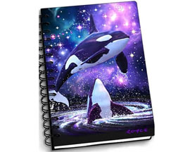 Space Orcas Notebook