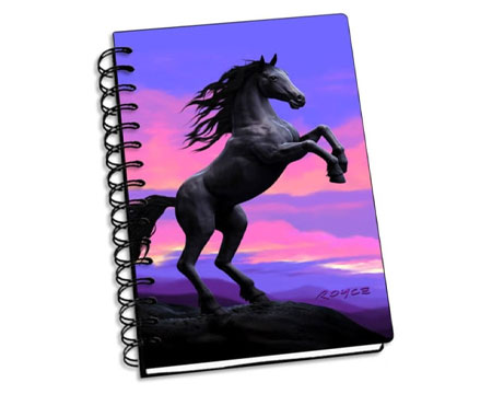 Stallion 3D Notebook