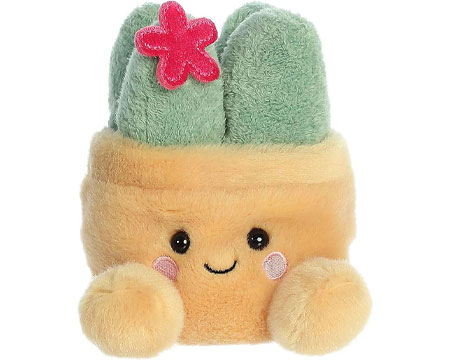 Aurora&reg; Palm Pals� 'Seyla' Succulent