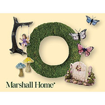 Ladies Night Out: Event Ticket & Fairy Garden Starter Kit