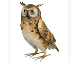 Regal Art & Gift&reg; Decorative 14 in. Long Eared Owl Bird Statue