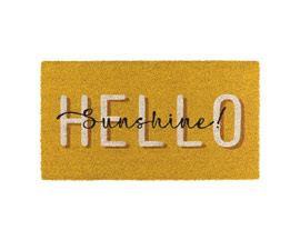 Regal Art & Gift&reg; 18 in. X 30 in. Hello Sunshine Coir Doormat