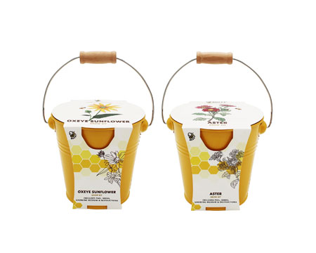 Pollinator Flower Grow Kit - Aster/Sunflower