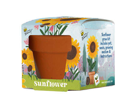Kids Mini Grow Sunflower Kit