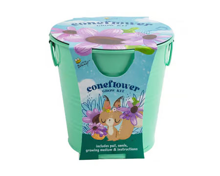 Kids Mini Grow Coneflower