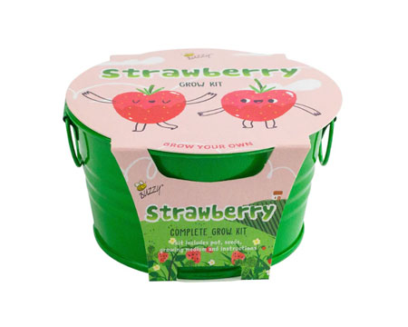 Kids Mini Grow Kit - Strawberry
