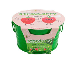 Kids Mini Grow Kit - Strawberry