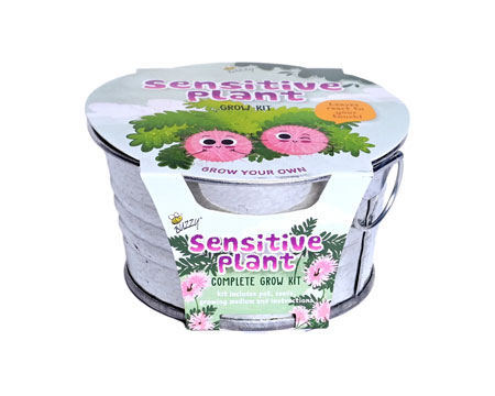 Kids Mini Grow Kit - Sensitive Plant