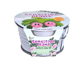 Kids Mini Grow Kit - Sensitive Plant