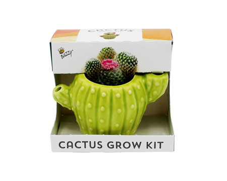 Kids Mini Grow Kit - Cactus