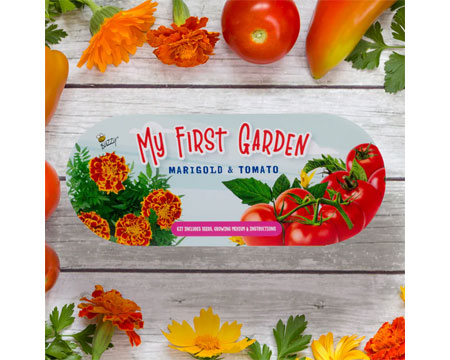 My First Garden - Marigold & Tomato