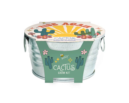 Mini Basin Cactus Grow Kit