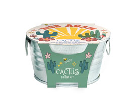 Mini Basin Cactus Grow Kit