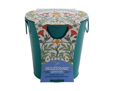 Painted Pot Sunflower Grow Kit