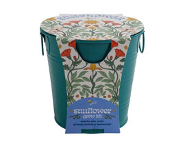 Painted Pot Sunflower Grow Kit