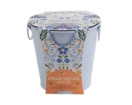 Mini Grow Pot - Forget-Me-Not
