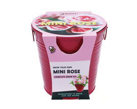 Mini Rose Grow Kit
