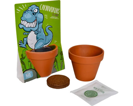 Wildflower Grow Kit - T-Rex