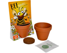 Bee Flower Grow Kit