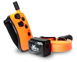 DT Systems Upland Rapid Access e-Collar