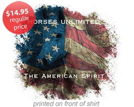 Ladies American Spirit  T-Shirt