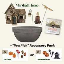 Ladies Night Out - October 1st: Event Ticket & Fall Fairy Garden Kit