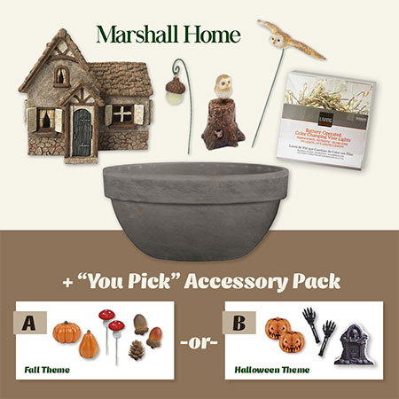 Ladies Night Out - October 1st: Event Ticket & Fall Fairy Garden Kit