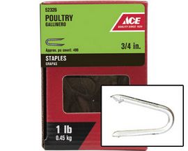 ACE 3/4" Poultry Staples