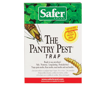 Pantry Pest Moth Trap - 2 Pack