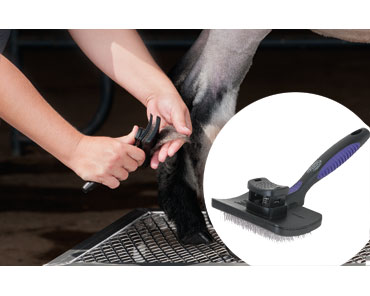 Weaver Leather Self-Cleaning Slicker Brush