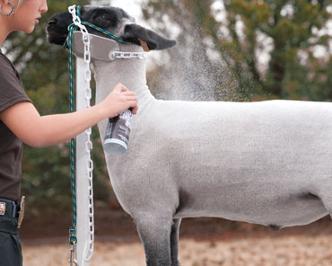 Weaver Leather Sheep & Goat Conditioning Spray