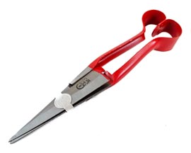 Red Shank Shears