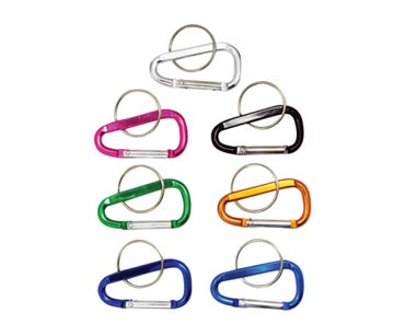 Sona Enterprises® Assorted Carabiner with Keychain - 2 in.
